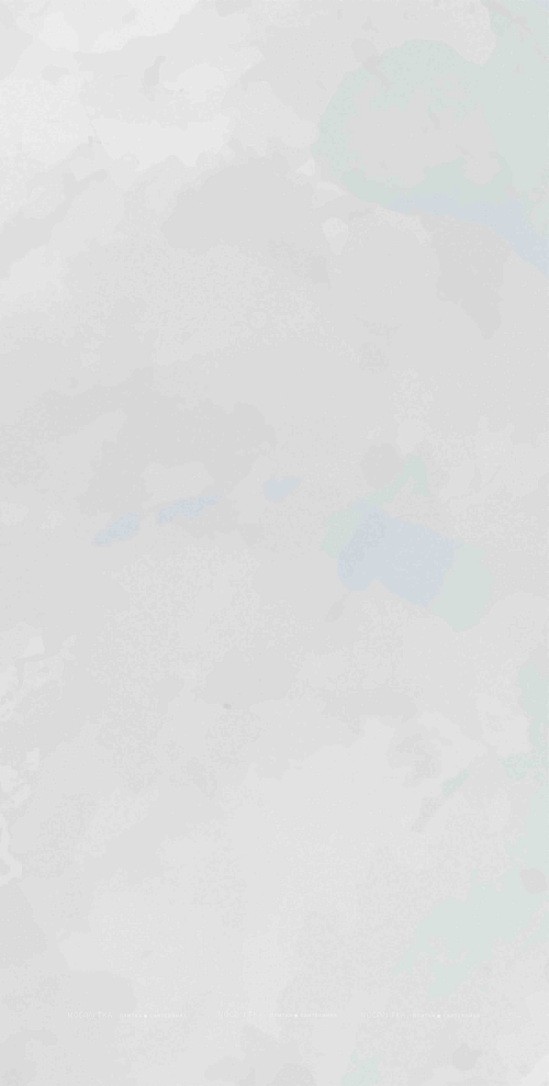 Керамическая плитка Creto Плитка Mon Cloudy Garden 30х60 Керамическая плитка Creto Плитка Mon Cloudy Garden 30х60