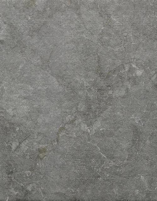 5 Breccia Grey Stories Rett Hard 120х260 5 Breccia Grey Stories Rett Hard 120х260
