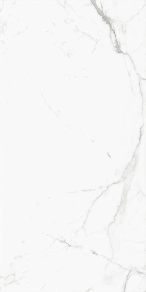 Керамогранит Elegant Statuario Белый 60×120 Полированный Керамогранит Elegant Statuario Белый 60×120 Полированный