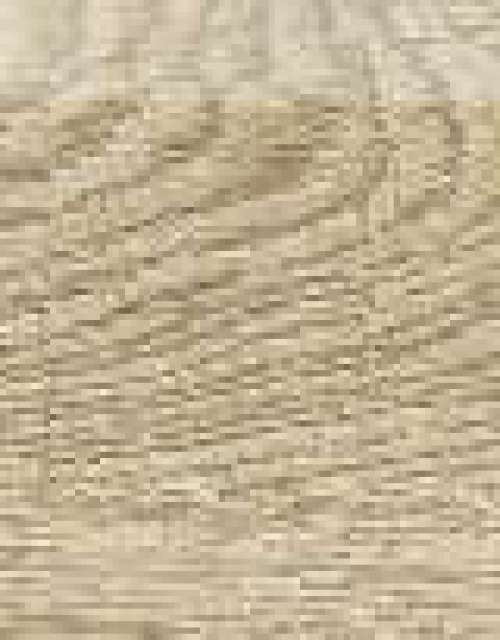 Плинтус Italian Wood Медовый 60×7.6 Структурированный Плинтус Italian Wood Медовый 60×7.6 Структурированный