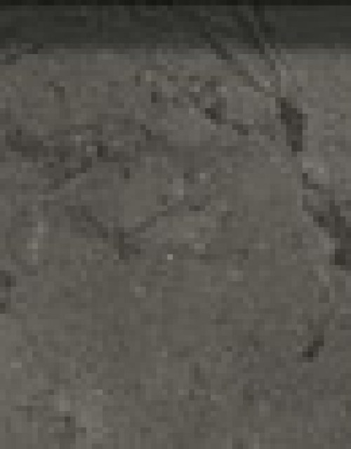 600090000353 Шарм Эво Антрачит Лондон Патинированный 5х30 600090000353 Шарм Эво Антрачит Лондон Патинированный 5х30