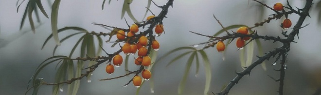 Керама Марацци Тракай OS/A119/9016 7 Глянцевый 8,5х28,5 Керама Марацци Тракай OS/A119/9016 7 Глянцевый 8,5х28,5