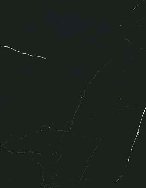 Керамогранит Liem Black 59.6×150 Керамогранит Liem Black 59.6×150