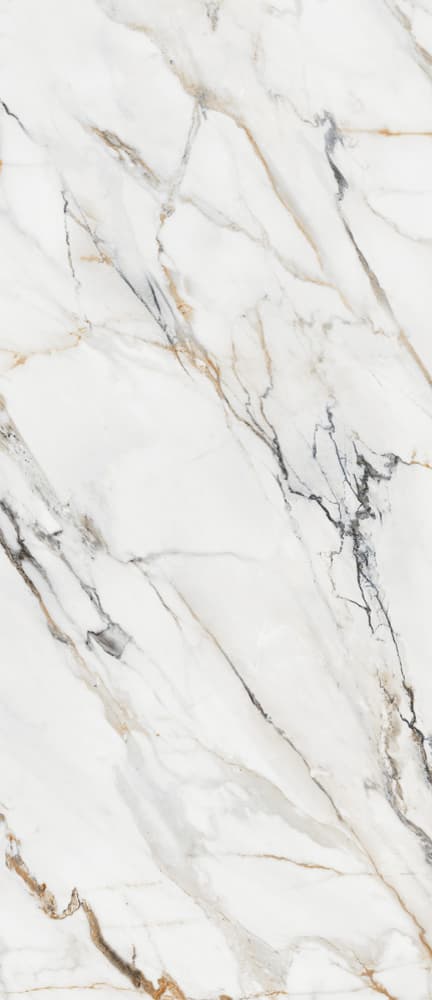 Porcelanite Dos Firenze 6623 Calacatta Gold Pulido Ret. 63×146 Porcelanite Dos Firenze 6623 Calacatta Gold Pulido Ret. 63×146