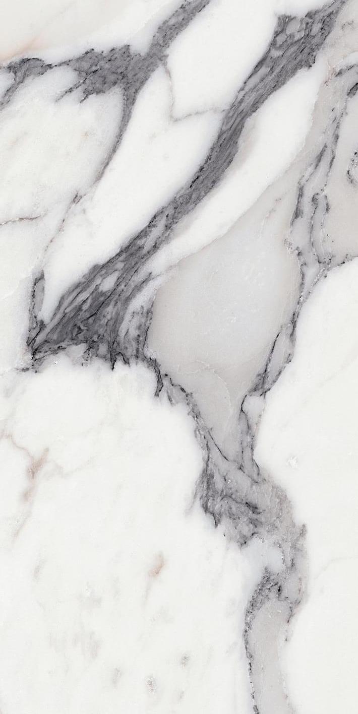 Les Origines De Rex Argent Matte 60×120 Les Origines De Rex Argent Matte 60×120