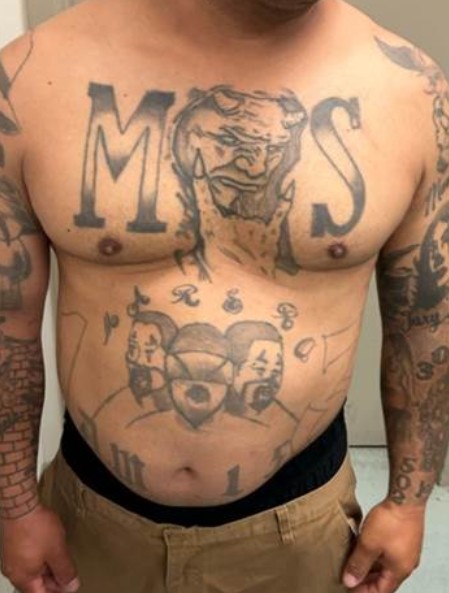 ICE arresta a pandillero MS-13 previamente deportado y buscado en El Salvador ICE arresta a pandillero MS-13 previamente deportado y buscado en El Salvador
