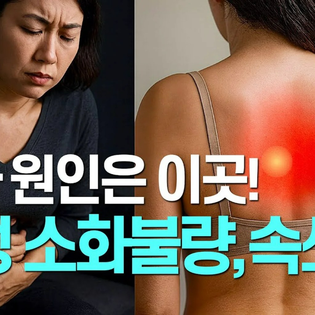 40년 만성 소화불량, 정말 ‘마음’의 문제였을까? 등의 통증이 들려주는 몸의 진실 40년 만성 소화불량, 정말 ‘마음’의 문제였을까? 등의 통증이 들려주는 몸의 진실