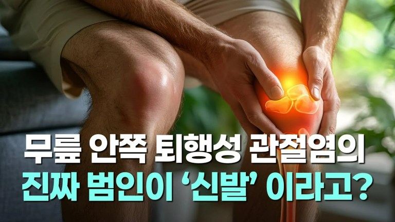 무릎 퇴행성 관절염의 진짜 원인: 당신의 연골을 갈아내고 있는 범인은 ‘신발’입니다 무릎 퇴행성 관절염의 진짜 원인: 당신의 연골을 갈아내고 있는 범인은 ‘신발’입니다
