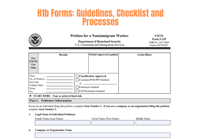 What is an H1B Non Immigrant Visa? What is an H1B Non Immigrant Visa?