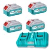 Total Tools – Professional 4 x 5.0Ah Batteries and Dual Charger Kit Total Tools – Professional 4 x 5.0Ah Batteries and Dual Charger Kit
