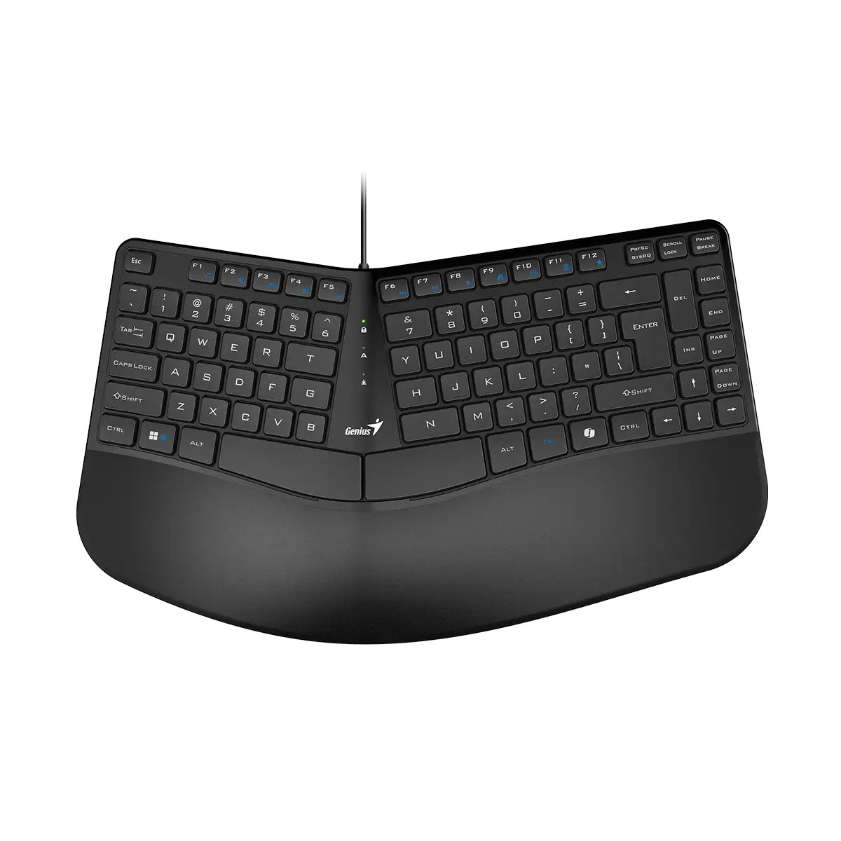 Genius Ergo 700 Palm Rest USB Ergonomic Keyboard