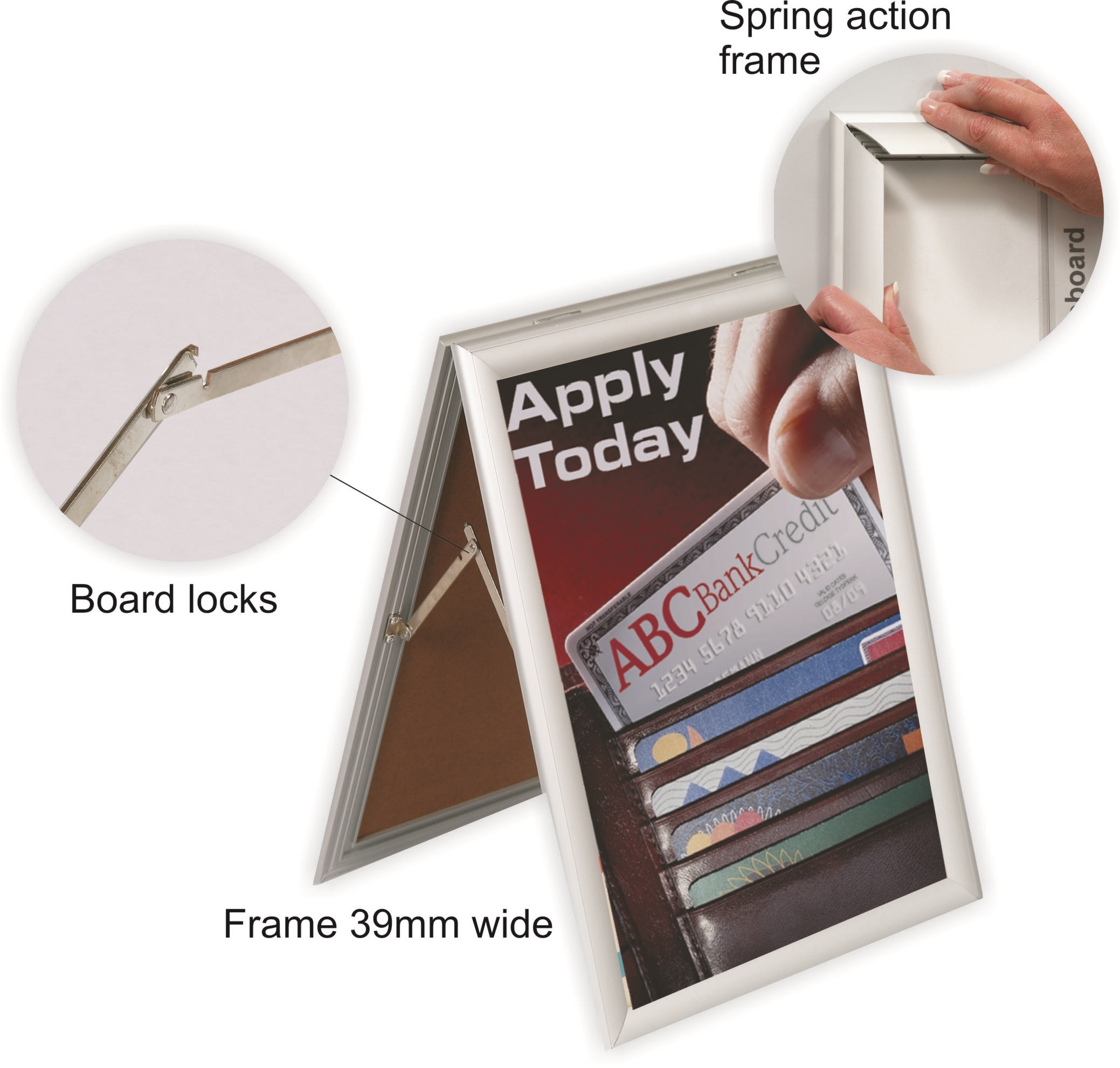 Parrot Poster Frame Sandwhich – A2