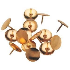 Parrot 100 Pack Drawing Pins – Brass