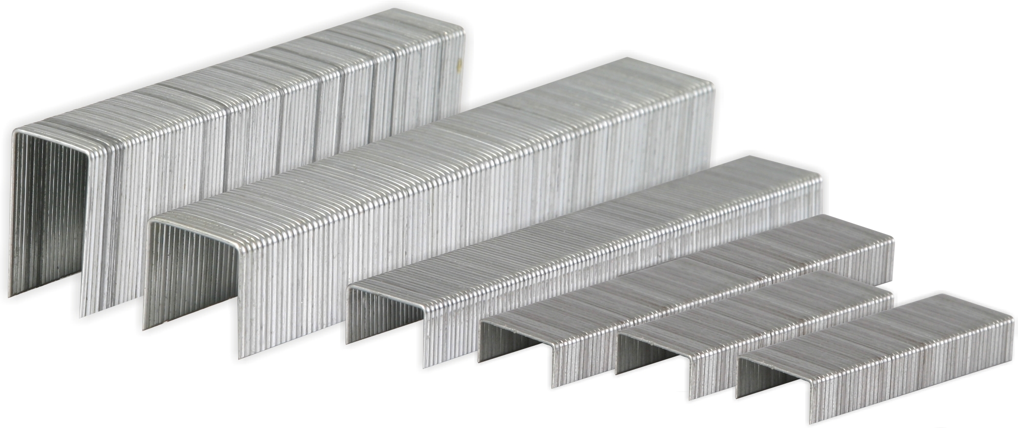 Parrot Staples 23/23 – Pack of 1000