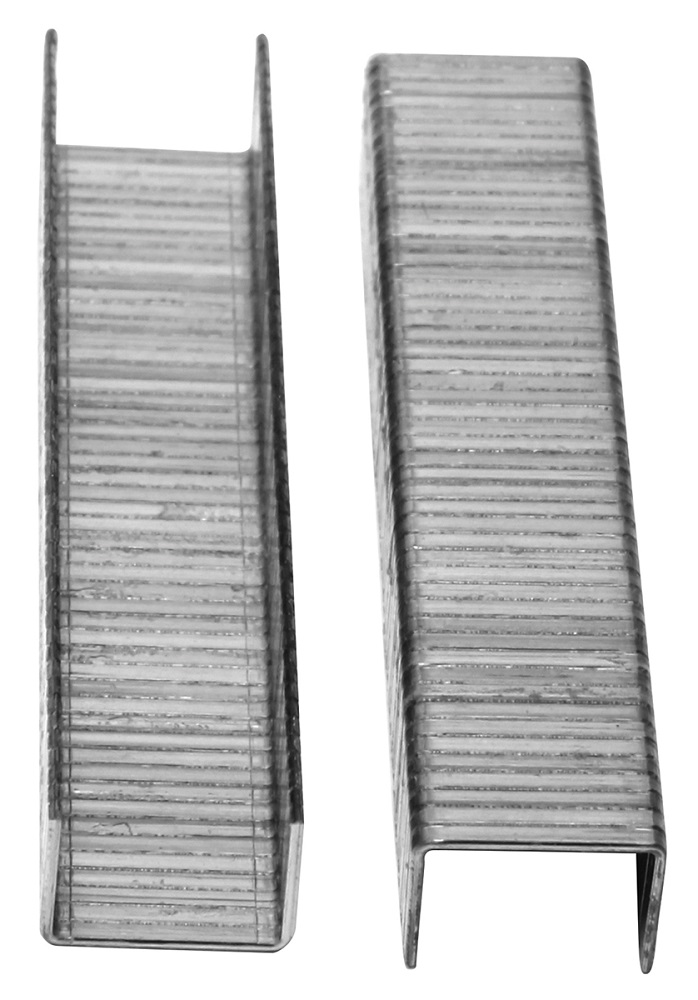 Fragram – 1000 Piece Staples – 10mm x 8mm