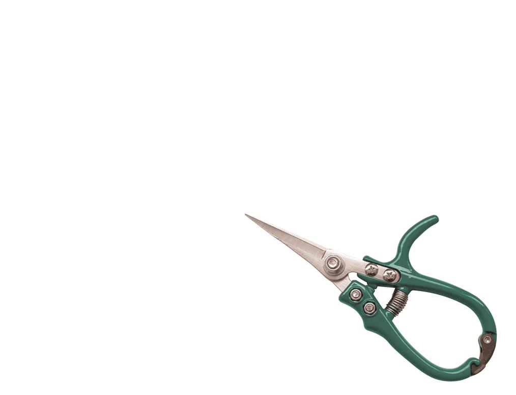Raco – Straight Needle Nose Palm Shear
