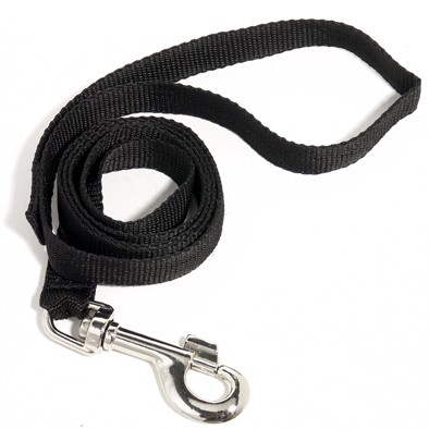 Dog Lead Nylon 1200mmx19mm + Fittings