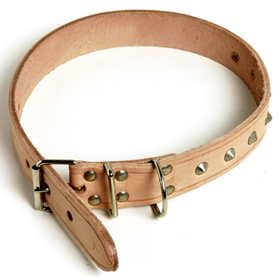 Dog Collar Leather Rivetted 13mmx350mm