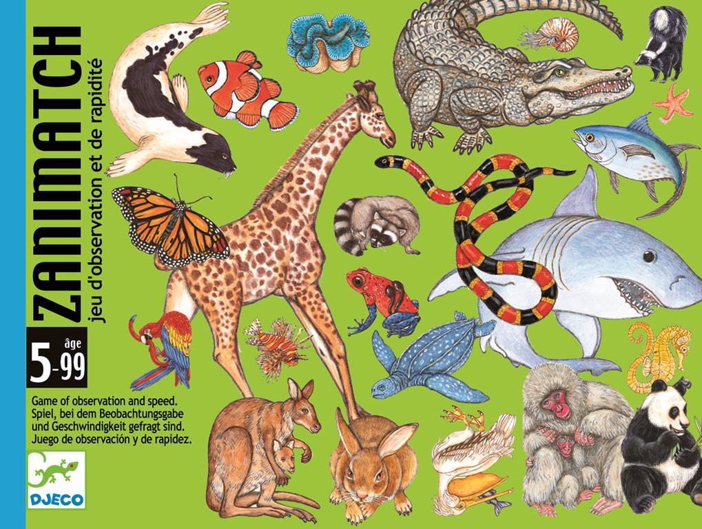 Djeco Card Games – Zanimatch