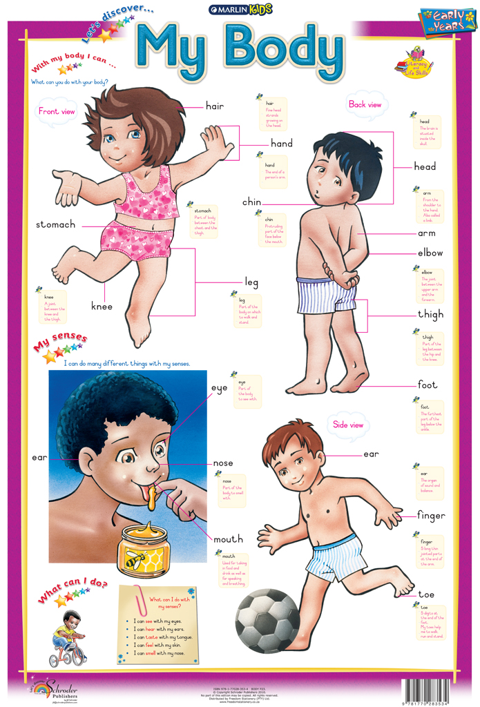 Marlin Kids Chart – My Body