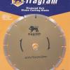 Fragram – TOOB204 23cm Dry Diamond Blade Fragram – TOOB204 23cm Dry Diamond Blade