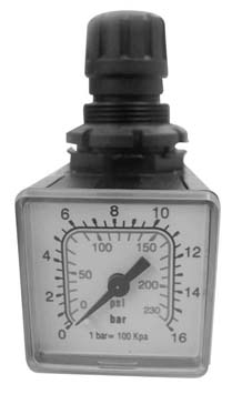 ANI Regulator 1|4″ M|150|2