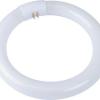 Osr F|tube Circ 32w C|white Bx Per12 Osr F|tube Circ 32w C|white Bx Per12