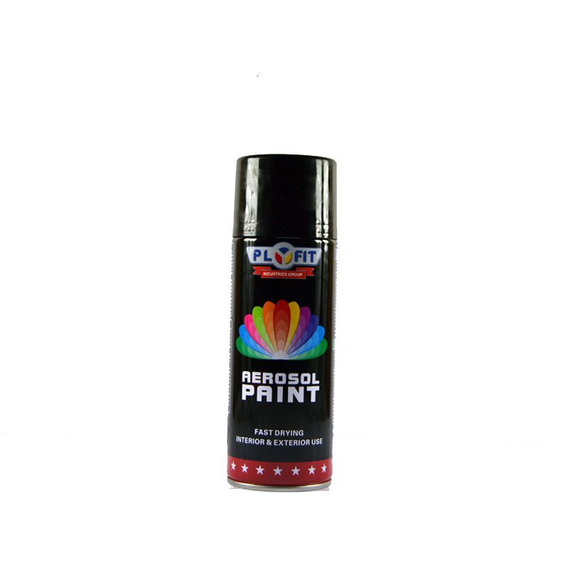 Plyfit Spray Paint in Matte/Flat Black (A02) – 300ml
