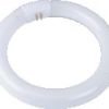 Osram F/Tube Circ 22W – C/White Osram F/Tube Circ 22W – C/White