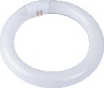 Osram F/Tube Circ 22W  – C/White