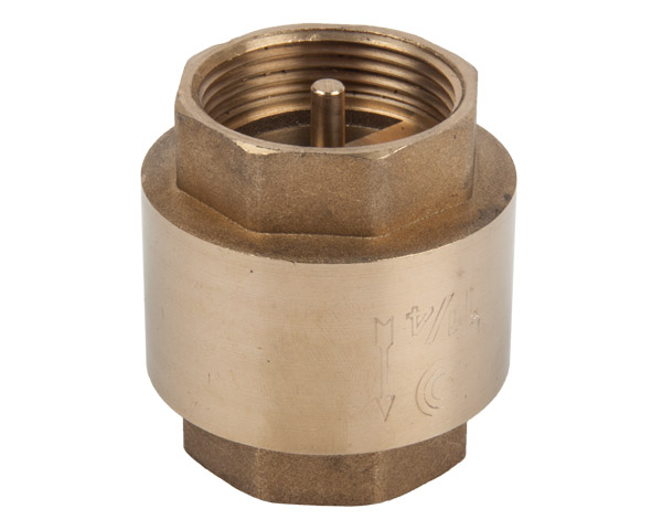 Torrenti Spring Loaded Brass Check Valve – 100mm