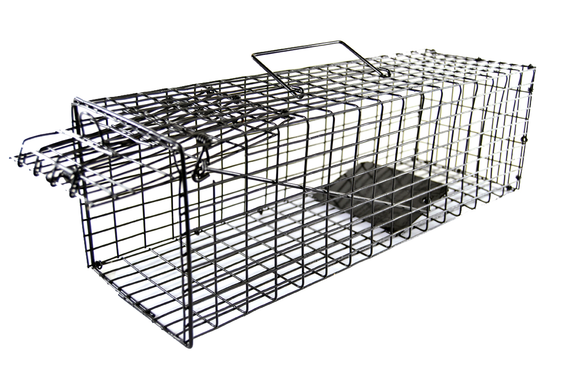 SourceDirect Humane Live Rat & Mouse Trap & Cage (400 x 125 x 125mm)