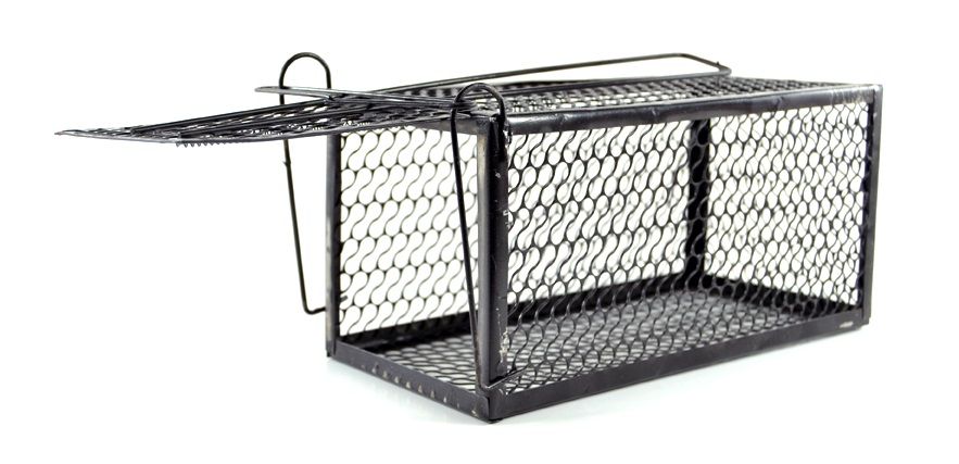SourceDirect Humane Live Mouse & Rat Trap Cage – Medium