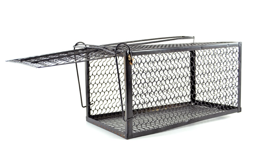 SourceDirect Humane Live Mouse & Rat Trap Cage – Large