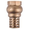 Torrenti Brass Foot Valve – 65mm Torrenti Brass Foot Valve – 65mm