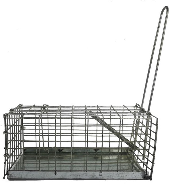 SourceDirect Humane Mouse Trap / Cage with Metal Base – (24cmx10cmx10cm).