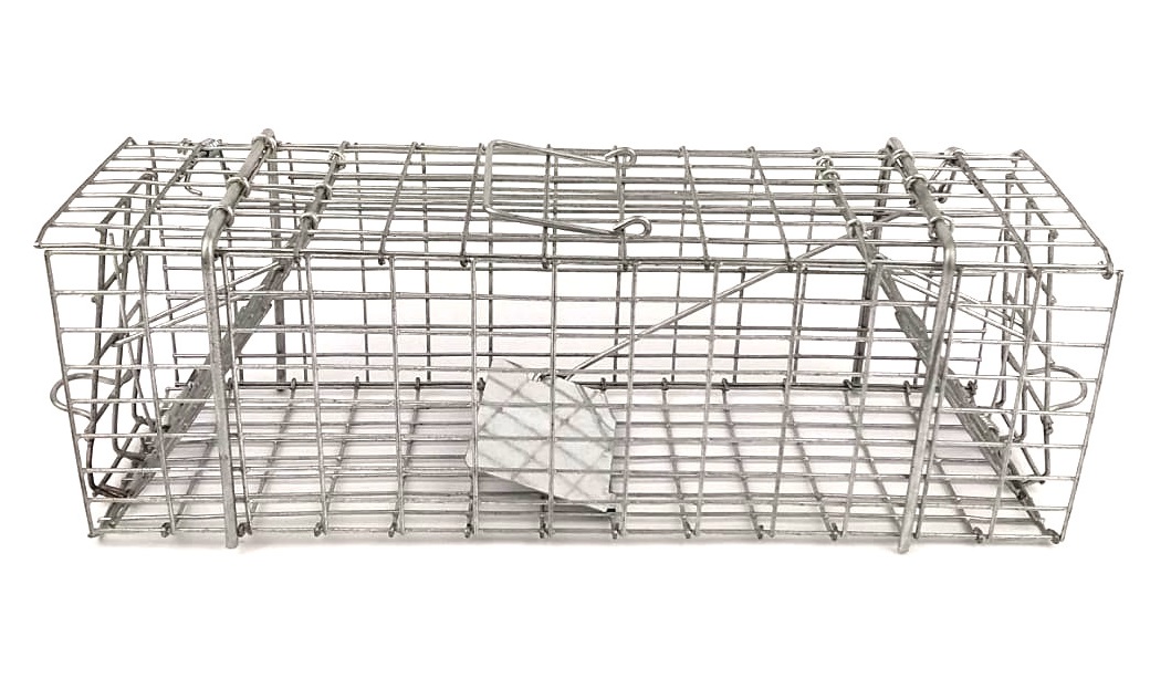 SourceDirect – Humane Mouse Trap /Cage (Foldable) – (31cm x 11cm x 11cm)