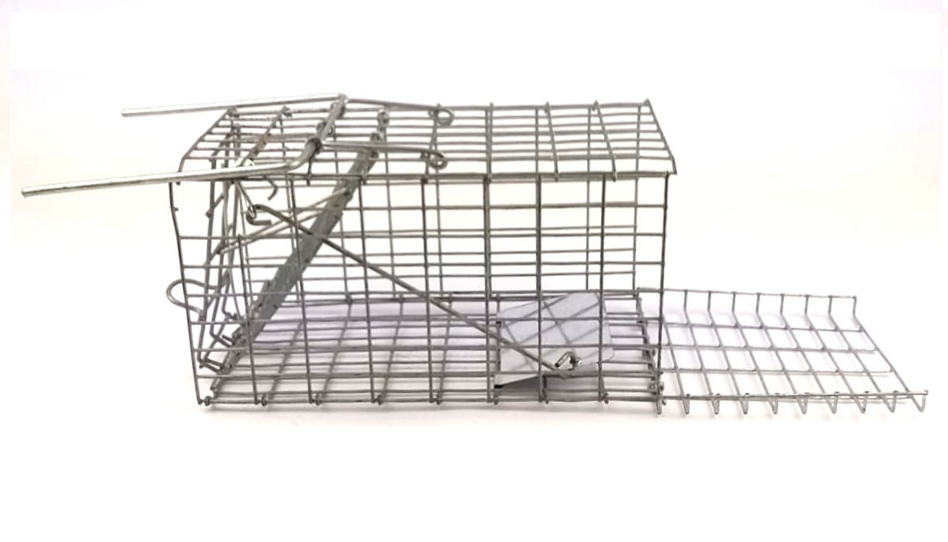 SourceDirect – Humane Mouse Trap /Cage (Foldable) – (21cm x 11.5cm x 10cm)