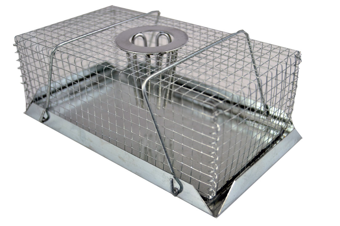 SourceDirect – Humane Mouse Top Hole Catch (XS) – (18.2cm x 11 x 6.5cm)