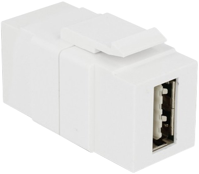 Delock Usb2.0 Af To Af Keystone, White (86353)