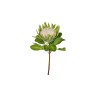 King Protea 74cm Green King Protea 74cm Green