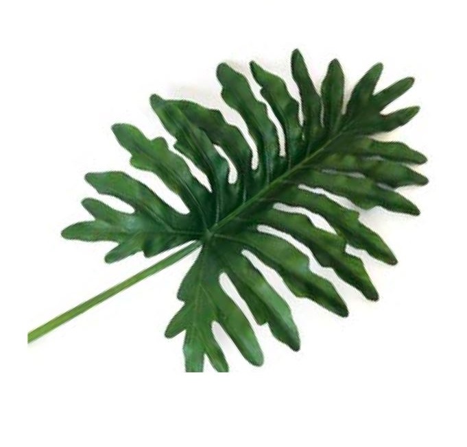 Split Philo Single Leaf 46”/116.8cm Green