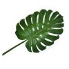 Monstera Leaf 45”/114.3cm Green Monstera Leaf 45”/114.3cm Green