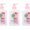 Dettol – Hygiene Hand Wash – Skincare (3 x 200ml) Dettol – Hygiene Hand Wash – Skincare (3 x 200ml)