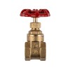 Torrenti Gate Valve Brass Med Duty 32Mm Torrenti Gate Valve Brass Med Duty 32Mm
