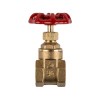 Torrenti Gate Valve Brass Med Duty 40Mm Torrenti Gate Valve Brass Med Duty 40Mm