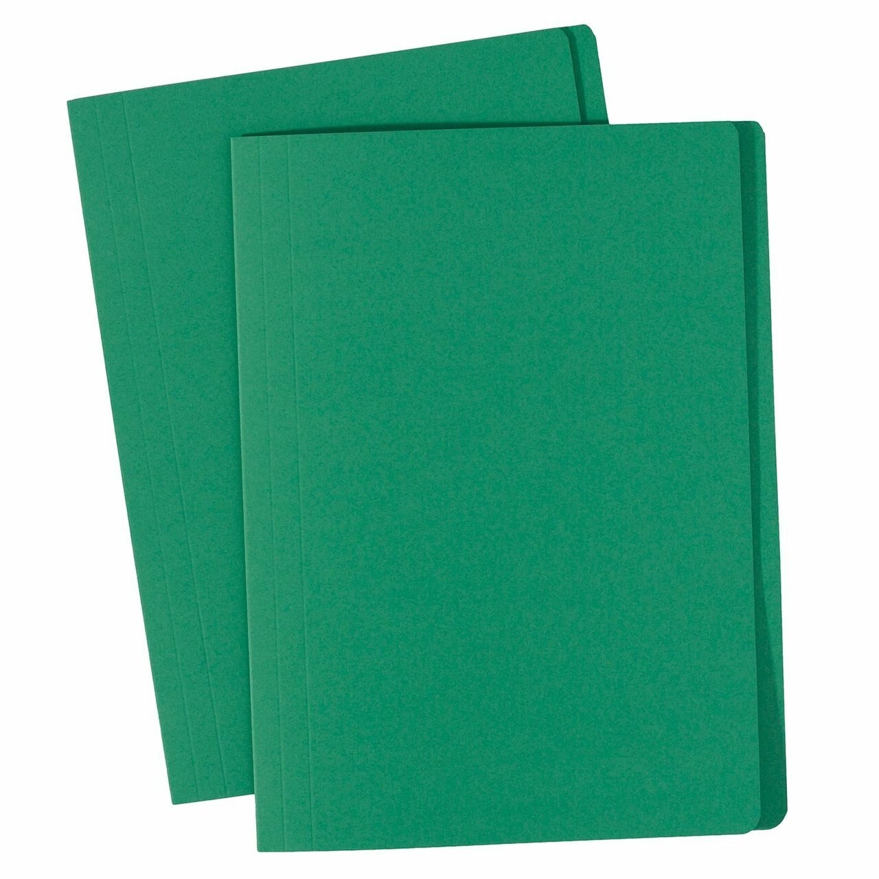 Flat files / folders Foolscap Tag 100’s Green