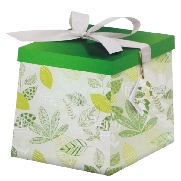 SourceDirect – Gift Box / Flat-Pack Large Gift Box 22 x 22 x 22cm – Green
