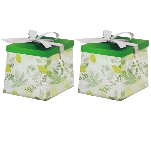 SourceDirect – Gift Box / Flat-Pack Large Gift Box – Pack of 2 (Green)