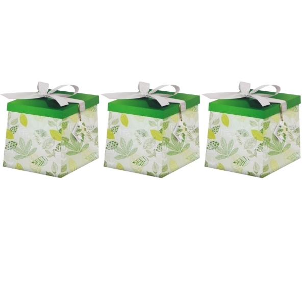 SourceDirect – Gift Box / Flat-Pack Large Gift Box – Pack of 3 (Green)